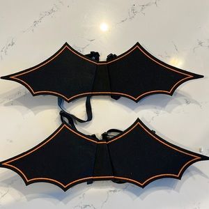 Bat wings for a small to medium dog